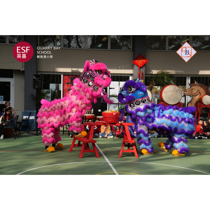 626287165_18108157231778564_8769861531925469912_n