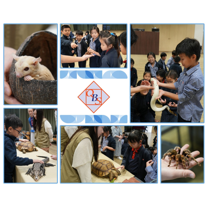 648312588_18109960270778564_1948872545364700477_n